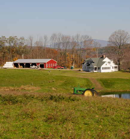 Anderson Hill Farm