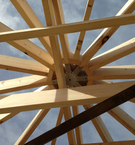 Best Special Feature